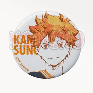 hinata_shoyo_badge